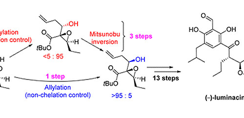 Total Synthesis of (−)-Luminacin D